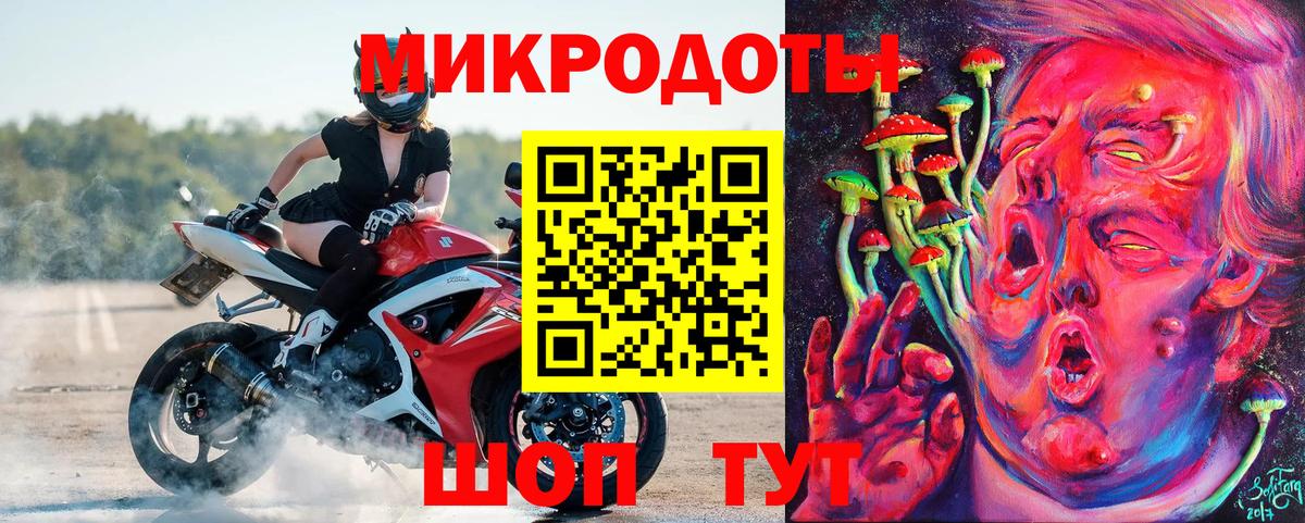 Псилоцибиновые грибы Psilocybe Северодвинск