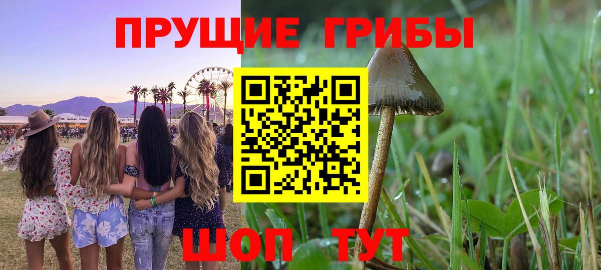 Северодвинск  Галлюциногенные грибы ЛСД  Вход с VPN 
